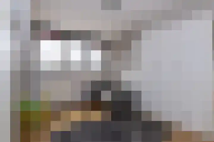 Raiffeisenlaan 39 Wervershoof thumbnail 21