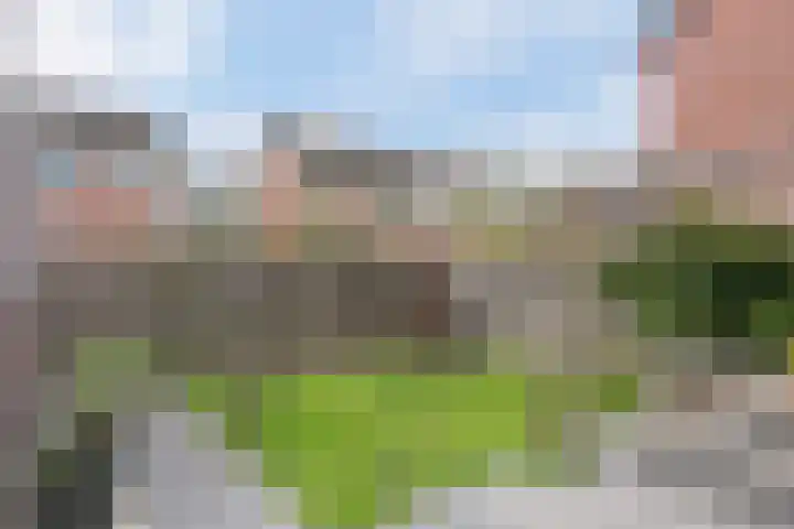 Rak 45 Heerenveen thumbnail 25