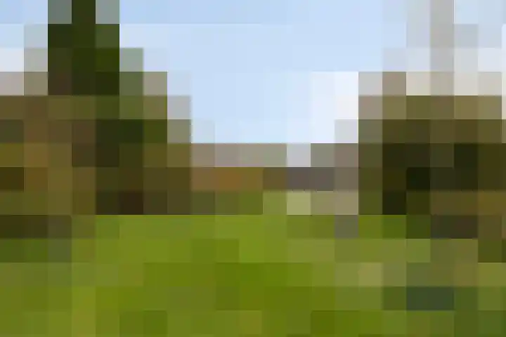Rak 45 Heerenveen thumbnail 26