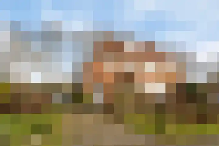 Rakekolkweg 5 in Rekken