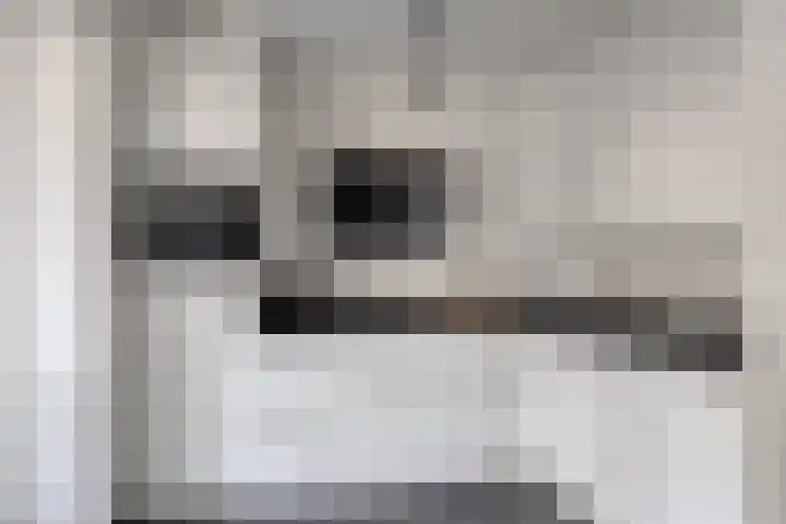 Rakkert 5 Bakel thumbnail 14