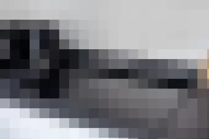 Rakkert 5 Bakel thumbnail 15