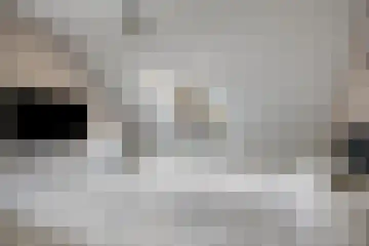 Rakkert 5 Bakel thumbnail 19