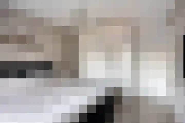 Rakkert 5 Bakel thumbnail 20