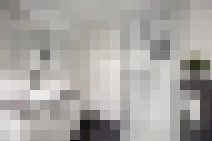 Rakkert 5 Bakel thumbnail 25