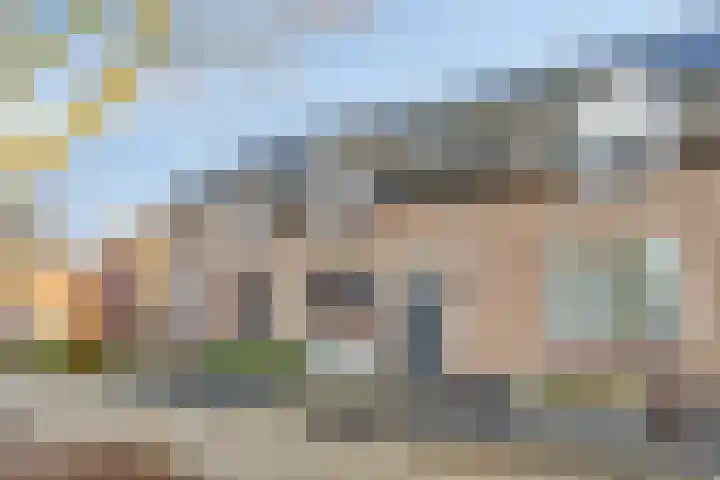 Rakkert 5 Bakel foto 3