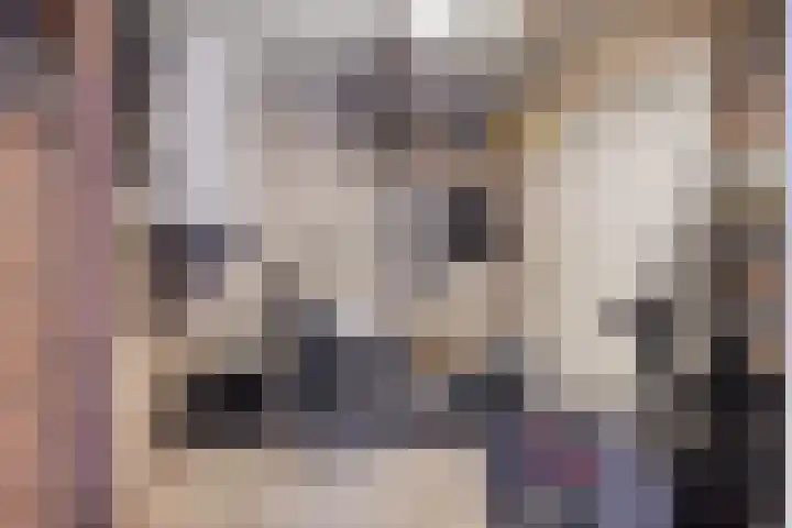 Rakkert 5 Bakel thumbnail 33