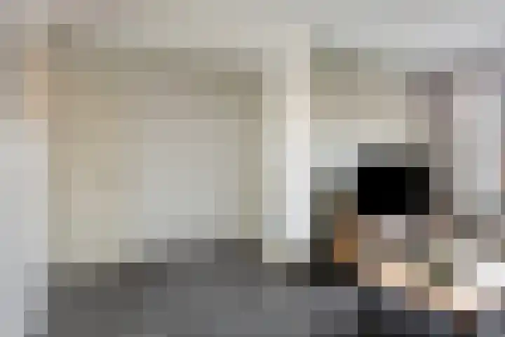 Rakkert 5 Bakel thumbnail 5