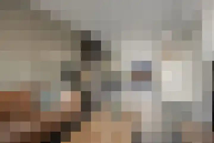 Rakkert 5 Bakel thumbnail 7