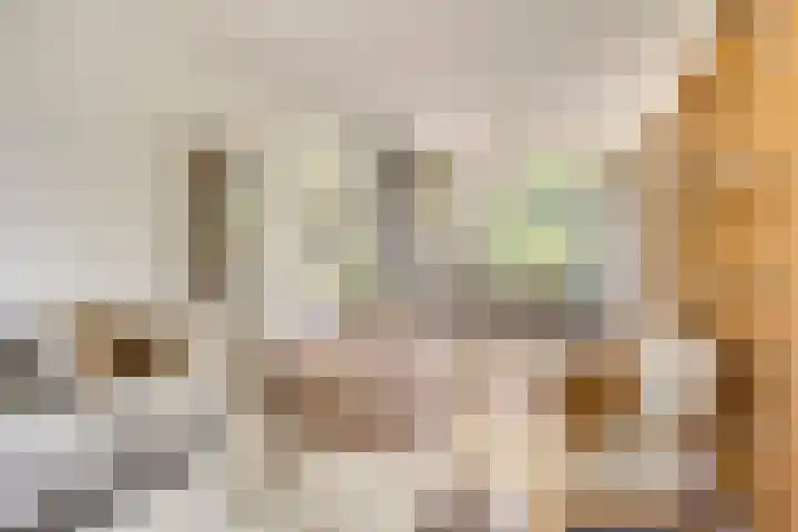 Rameaustraat 6 Eindhoven thumbnail 15