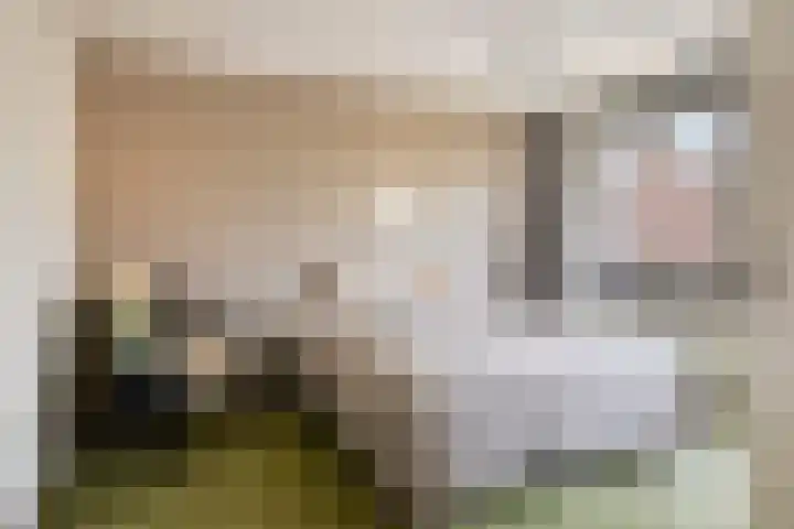 Rameaustraat 6 Eindhoven thumbnail 19