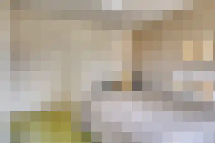 Rameaustraat 6 Eindhoven thumbnail 20