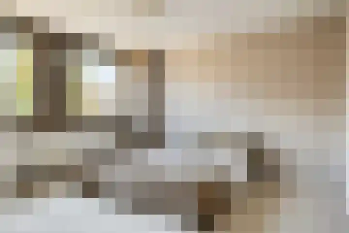 Rameaustraat 6 Eindhoven thumbnail 22