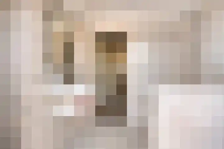 Rameaustraat 6 Eindhoven thumbnail 27