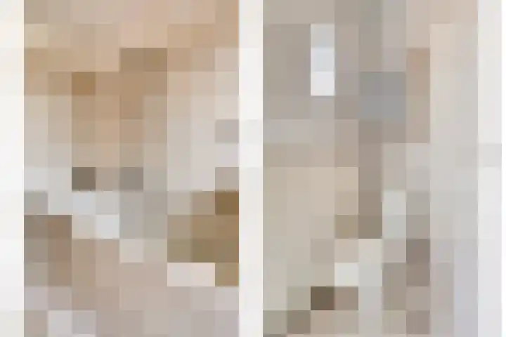 Rameaustraat 6 Eindhoven thumbnail 28
