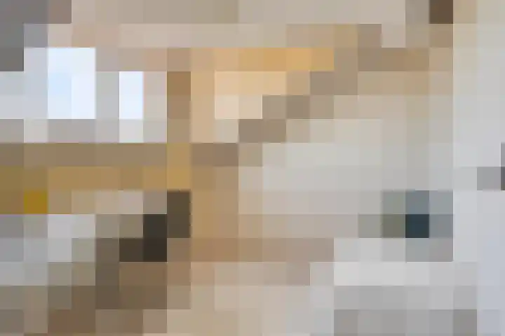 Rameaustraat 6 Eindhoven thumbnail 29