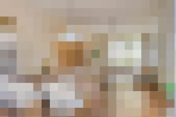 Rameaustraat 6 Eindhoven foto 3