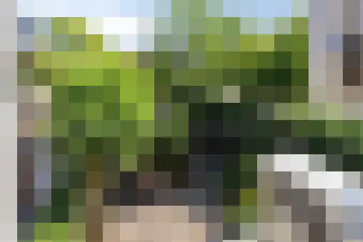 Rameaustraat 6 Eindhoven thumbnail 37