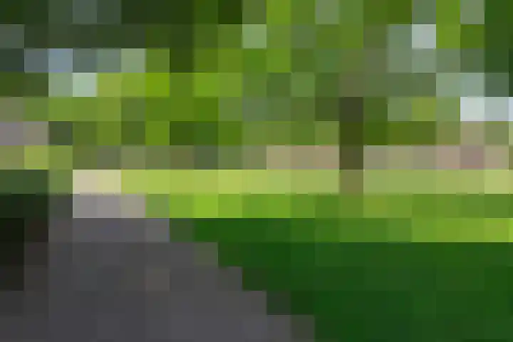 Rameaustraat 6 Eindhoven thumbnail 40