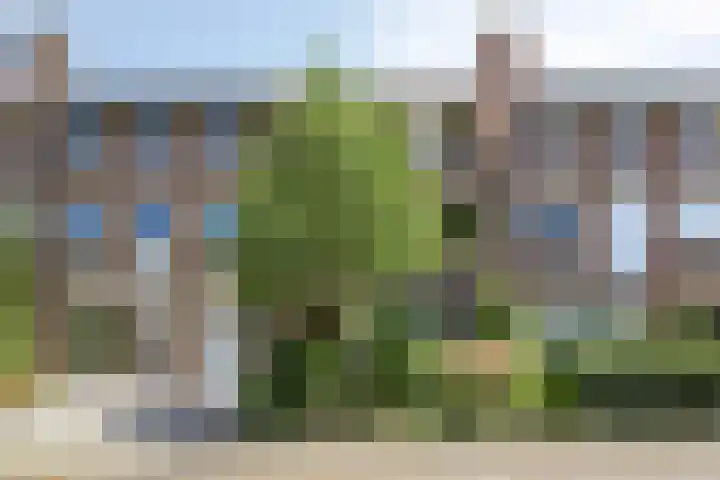 Rameaustraat 6 Eindhoven thumbnail 9