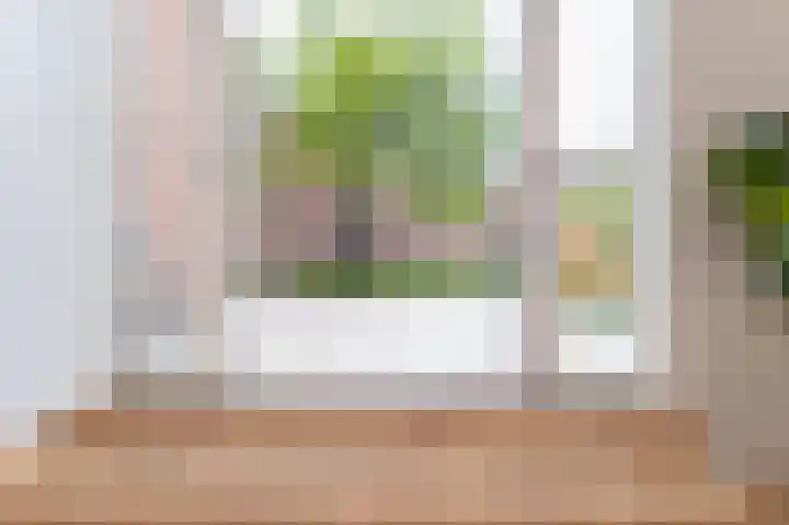 Ramen 33 Hoorn thumbnail 12