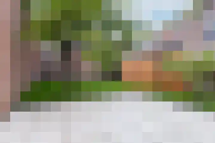 Ramen 33 Hoorn thumbnail 13