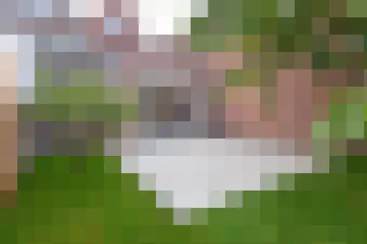 Ramen 33 Hoorn thumbnail 15