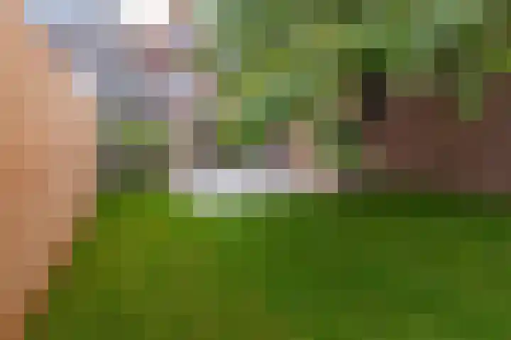Ramen 33 Hoorn thumbnail 4