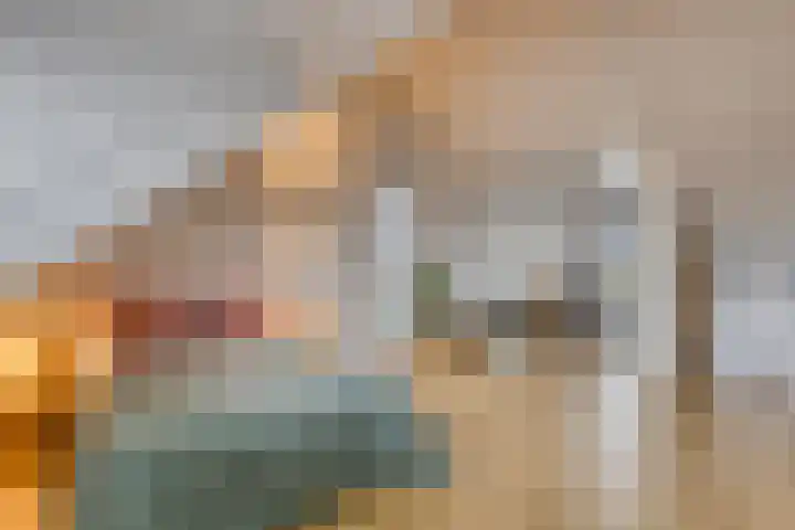 Ramin 1 Rosmalen thumbnail 24