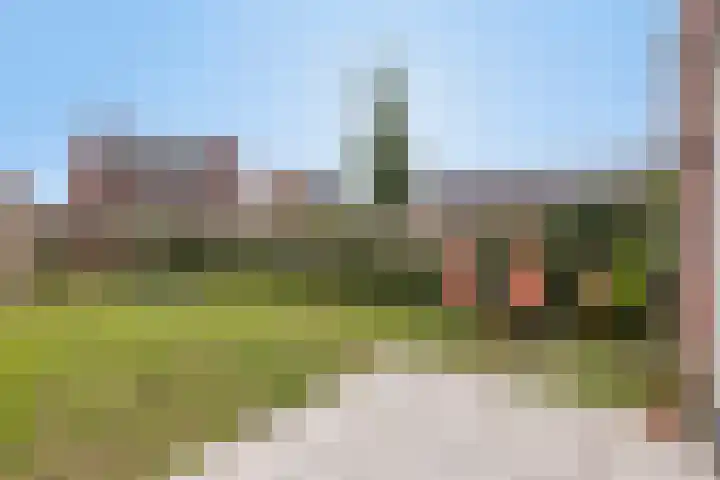 Ramin 1 Rosmalen thumbnail 28