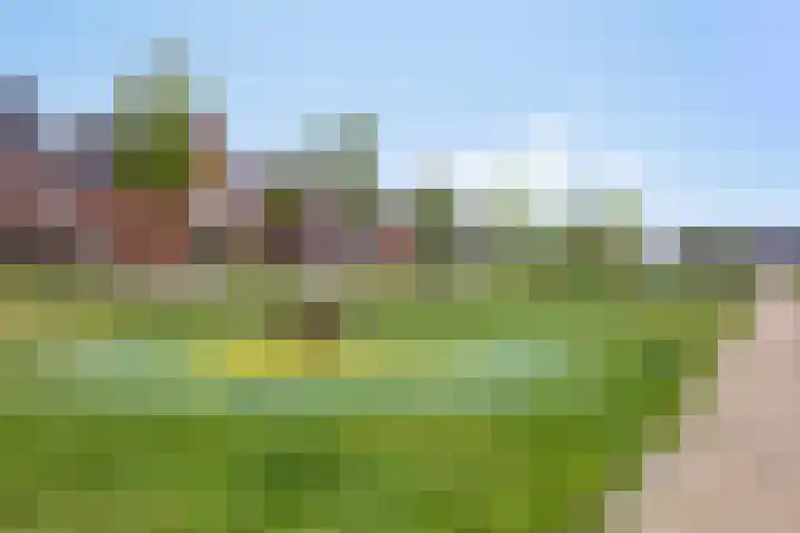 Ramin 1 Rosmalen thumbnail 36