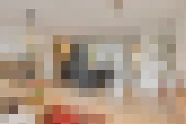 Ramin 1 Rosmalen thumbnail 4