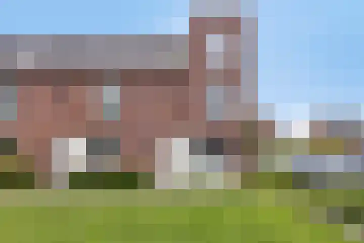 Ramin 1 Rosmalen thumbnail 46