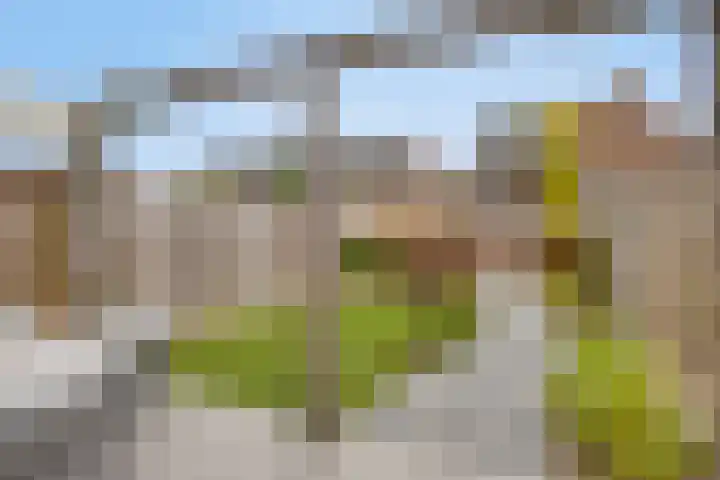 Ramin 5 Rosmalen thumbnail 12