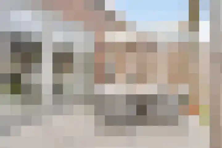 Ramin 5 Rosmalen thumbnail 13
