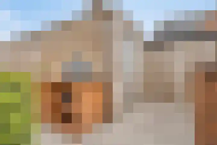 Ramin 5 Rosmalen thumbnail 15