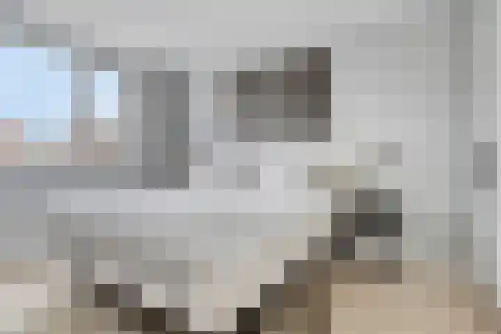 Ramin 5 Rosmalen thumbnail 17