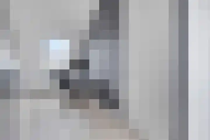 Ramin 5 Rosmalen thumbnail 25