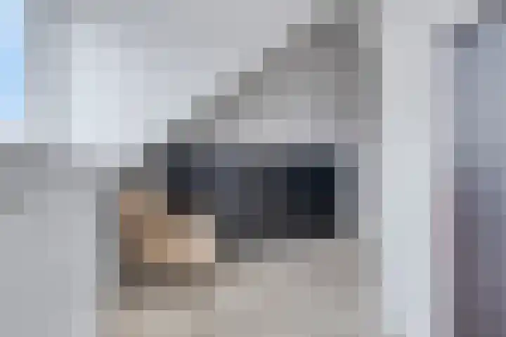 Ramin 5 Rosmalen thumbnail 27