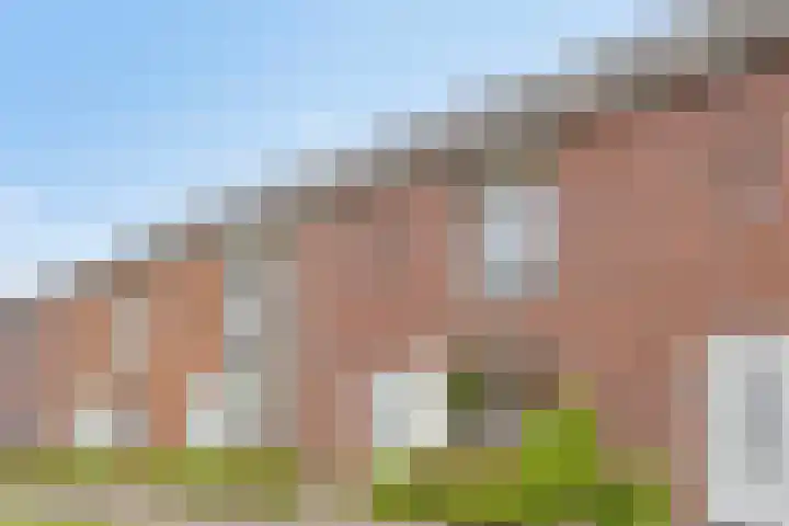 Ramin 5 Rosmalen thumbnail 28