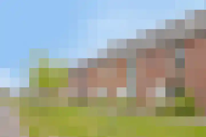 Ramin 5 Rosmalen thumbnail 29