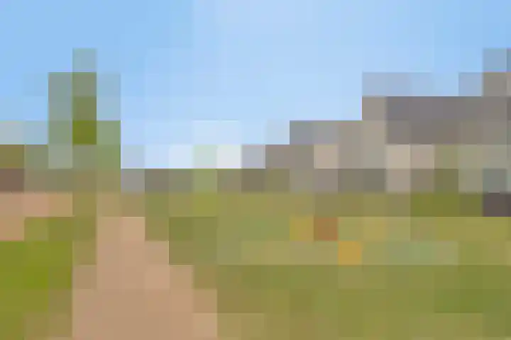 Ramin 5 Rosmalen thumbnail 30