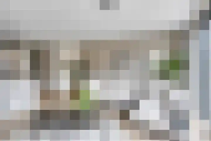 Ramin 5 Rosmalen thumbnail 4