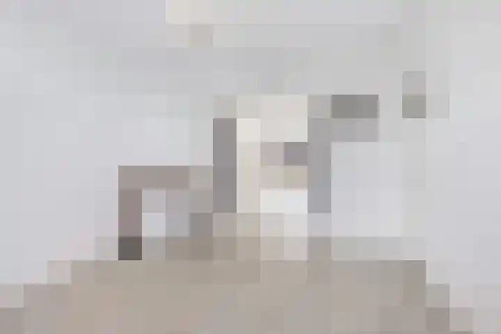 Ramlehweg 37 C Rotterdam thumbnail 5