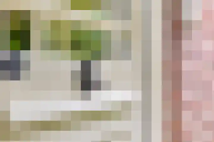 Rammelbroeksweg 1 Rekken thumbnail 14