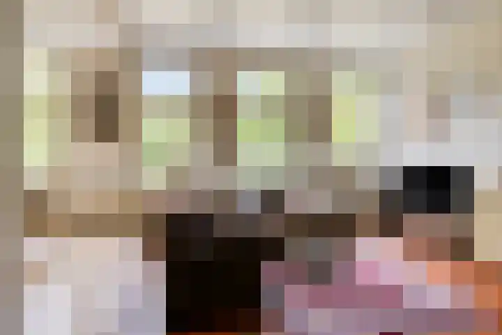 Rammelbroeksweg 1 Rekken thumbnail 18