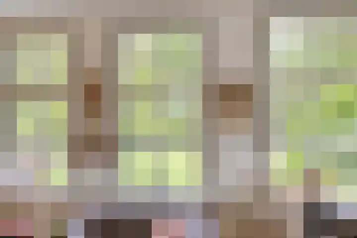 Rammelbroeksweg 1 Rekken thumbnail 21