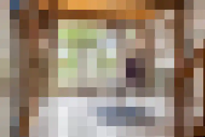 Rammelbroeksweg 1 Rekken thumbnail 28