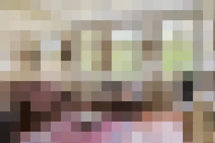 Rammelbroeksweg 1 Rekken foto 3