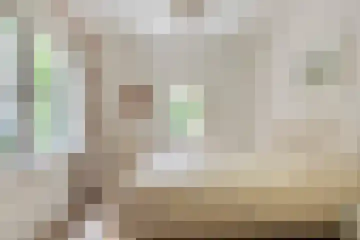 Rammelbroeksweg 1 Rekken thumbnail 32